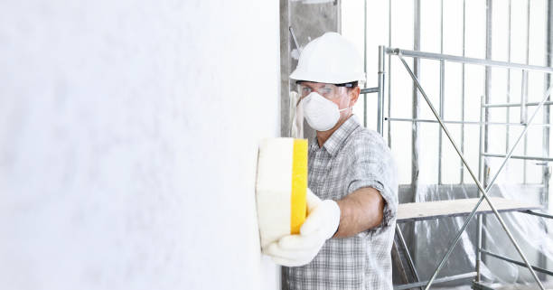 Best Mold Damage Restoration  in Vinita, OK