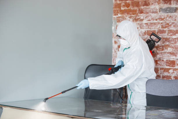 Best Commercial Mold Inspection  in Vinita, OK