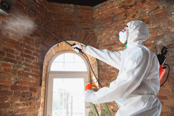 Best Mold Remediation for Healthcare Facilities  in Vinita, OK