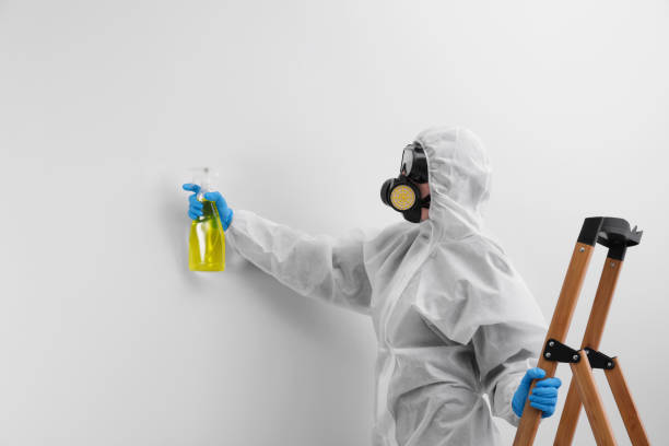 Best Emergency Mold Remediation  in Vinita, OK