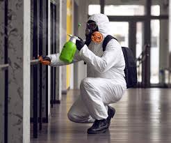 Best Black Mold Removal  in Vinita, OK