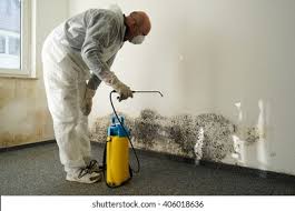 Professional Mold Removal & Remediation in Vinita, OK